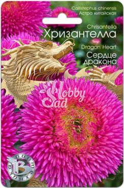 Цветы Астра китайская Хризантелла Сердце Дракона (30 шт) Биотехника