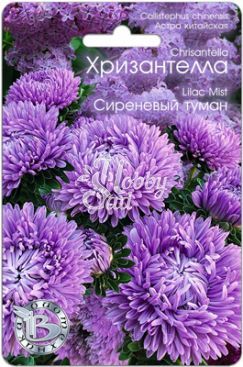 Цветы Астра китайская Хризантелла Сиреневый Туман (30 шт) Биотехника