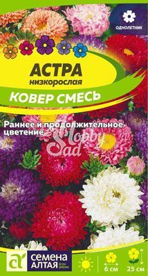 Цветы Астра Ковер Смесь низкорослая (0,2 гр) Семена Алтая