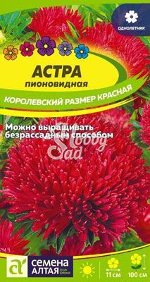 Цветы Астра Королевский размер Красная (0,2 гр) Семена Алтая