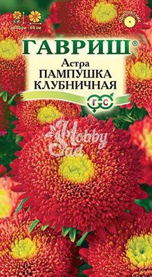 Цветы Астра Пампушка клубничная помпонная (0,3 г) Гавриш