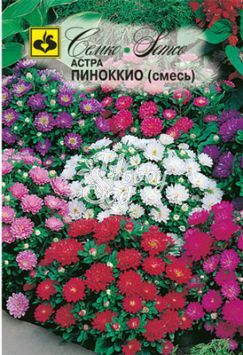 Цветы Астра Пиноккио (смесь) (0,2 г) Семко