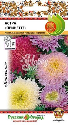 Цветы Астра Принетте специальная смесь (50 шт) Русский Огород