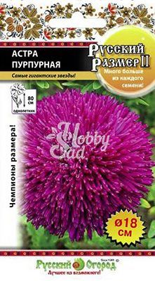 Цветы Астра Русский Размер II Пурпурная (0,2 г) Русский Огород серия Русский Размер