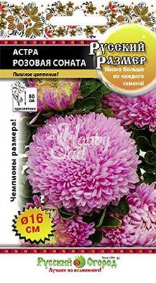 Цветы Астра Русский Размер Розовая соната (0,2 г) Русский Огород серия Русский Размер