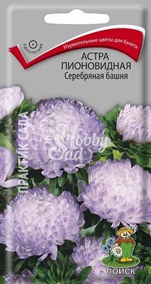 Цветы Астра Серебряная башня пионовидная (0,3 г) Поиск