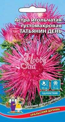Цветы Астра Татьянин день игольчатая густомахровая (0,2 г) Уральский Дачник