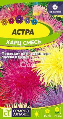 Цветы Астра Харц Смесь (0,3 гр) Семена Алтая