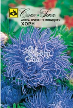 Цветы Астра Хорн хризантемовидная (0,5 г) Семко