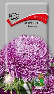 Цветы Астра Ювел Аметрин (0,2 г) Поиск