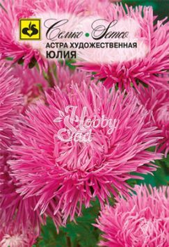 Цветы Астра Юлия (0,5 г) Семко