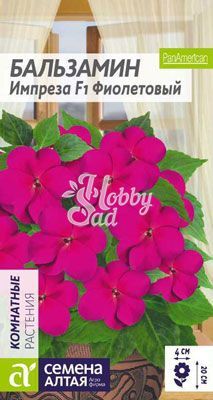 Цветы Бальзамин Импреза Фиолетовый (5 шт) Семена Алтая Комнатные