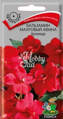 Цветы Бальзамин Махровый Афина Артемида (5 шт) Поиск