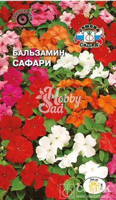 Цветы Бальзамин Сафари (0,05 г) Седек