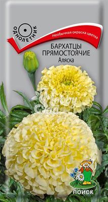 Цветы Бархатцы Аляска прямостоячие (Тагетес прямостоячий) (0,4 г) Поиск