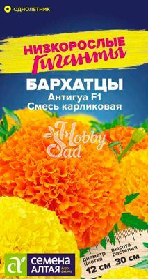 Цветы Бархатцы Антигуа Смесь карликовая (5 шт) серия Низкорослые Гиганты Семена Алтая