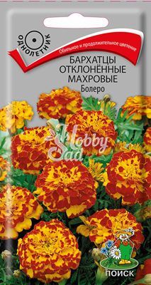 Цветы Бархатцы Болеро отклоненные махровые (0,4 г) Поиск