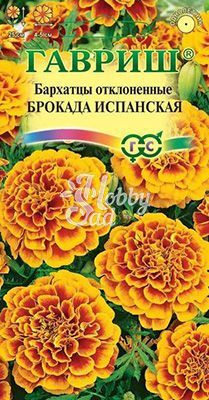 Цветы Бархатцы Брокада испанская отклоненные (0,3 г) Гавриш