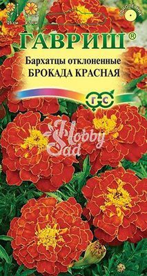 Цветы Бархатцы Брокада красная отклоненные (0,3 г) Гавриш
