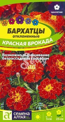 Цветы Бархатцы Красная Брокада махровые (0,3 г) Семена Алтая