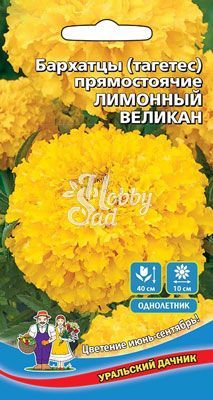 Цветы Бархатцы Лимонный великан прямостоячие (0,2 г) Уральский Дачник