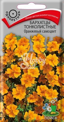 Цветы Бархатцы Оранжевый самоцвет тонколистные (Тагетес) (0,1 г) Поиск