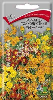 Цветы Бархатцы Старфайер микс тонколистные (Тагетес) (0,1 г) Поиск