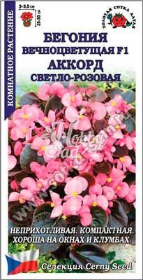 Цветы Бегония Аккорд вечноцветущая F1 светло-розовая (10 шт) Сотка