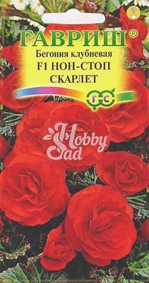 Цветы Бегония Нон-стоп Скарлет F1 клубневая (4 шт) Гавриш 