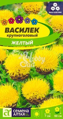 Цветы Василек Желтый крупноголовый (0,3 г) Семена Алтая