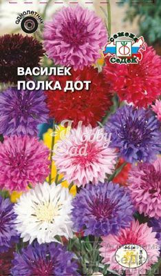 Цветы Василек Полка Дот (0,5 г) Седек