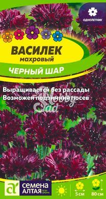 Цветы Василек Черный шар махровый (0,5 г) Семена Алтая