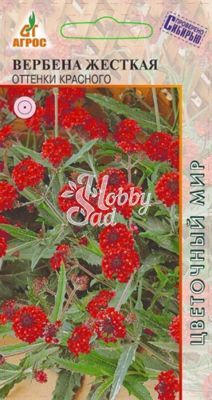Цветы Вербена Жесткая Оттенки красного (0,1 г) Агрос