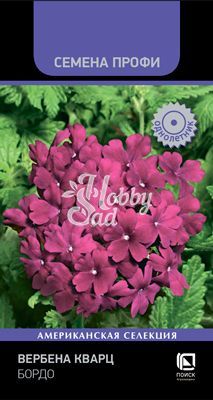 Цветы Вербена Кварц Бордо (10 шт) Поиск Семена Профи