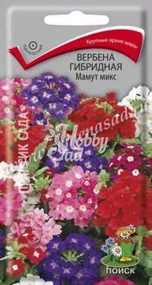Цветы Вербена Мамут микс гибридная (0,2 г) Поиск