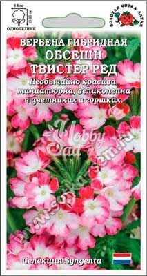 Цветы Вербена Обсешн Твистер Ред (5 шт) Сотка