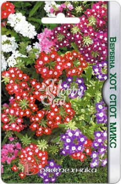 Цветы Вербена Хот Спот Микс (40 шт) Биотехника