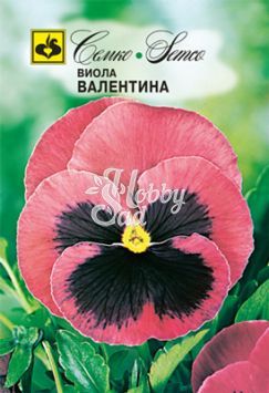 Цветы Виола Валентина (0,1 г) Семко