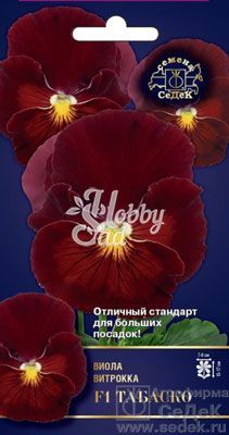 Цветы Виола Табаско F1 (5 шт) Седек