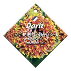 Цветы Гайлардия Лоллипап красивая двухцветная  (0,1 г) Дарит