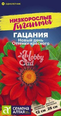 Цветы Гацания (газания) Новый день Оттенки красного (5 шт) Семена Алтая Низкорослые Гиганты