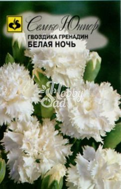 Цветы Гвоздика Белая ночь Гренадин (0,1 г) Семко
