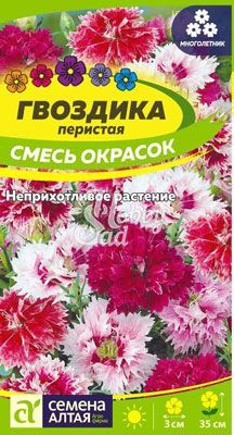 Цветы Гвоздика Перистая Смесь окрасок (0,1 г) Семена Алтая