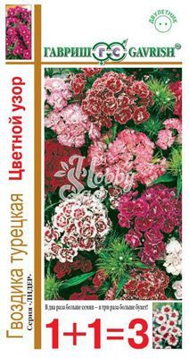 Цветы Гвоздика турецкая махровая Цветной узор смесь (0,8 г) Гавриш серия 1+1