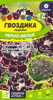 Цветы Гвоздика Черно-белая геддевига (0,04 г) Семена Алтая