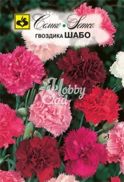 Цветы Гвоздика Шабо (0,1 г) Семко