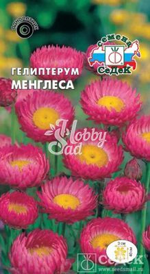 Цветы Гелиптерум Менглеса (0,2 г) Седек