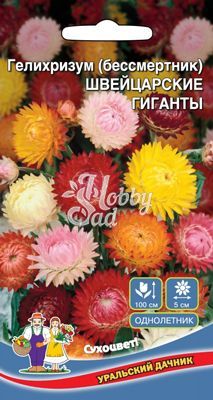 Цветы Гелихризум (бессмертник) Швейцарские гиганты (0,15 г) Уральский Дачник