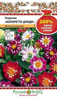Цветы Георгина Коларетта Дэнди смесь (0,4 г) Русский Огород серия 200%