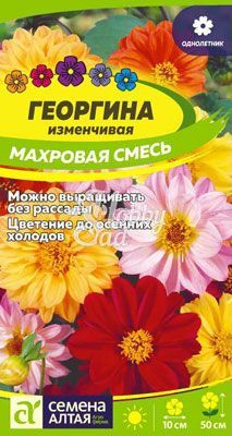 Цветы Георгина Махровая смесь окрасок (0,2 г) Семена Алтая